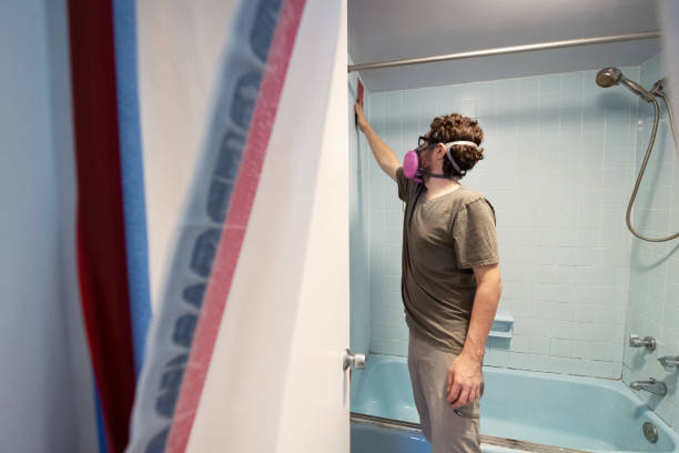Best Mold Prevention Services  in Bolivar, MO