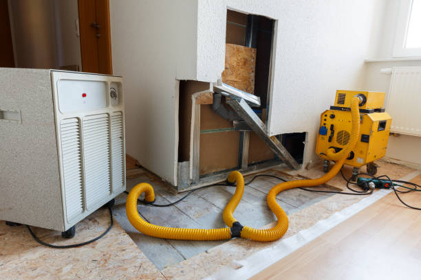 Best HVAC Mold Inspection and Cleaning  in Bolivar, MO