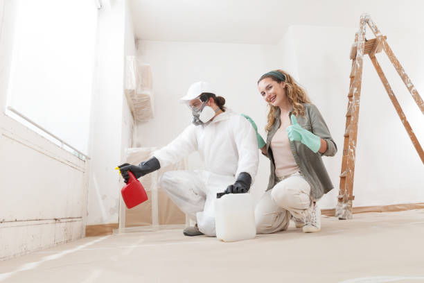Best Crawl Space Mold Remediation  in Bolivar, MO
